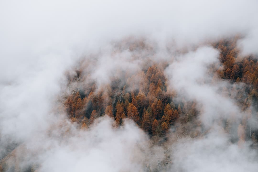 融资技能双驱动 自动驾驶商业化继续提速